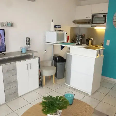 2 Pieces, Balcon Vue Mer, Parking Prive, Des Demoiselles - Fr-1-224c-27 Appartamento *