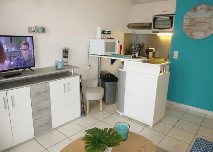 2 Pieces, Balcon Vue Mer, Parking Prive, Des Demoiselles - Fr-1-224c-27 아파트 *